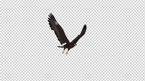 Black Hawk - Flying Loop - Side Angle alt