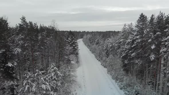 Snowcovered Road Through the Forest in Winter