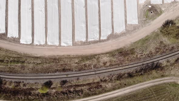 Aerial top view of agriculture farmland with plastic mulch.