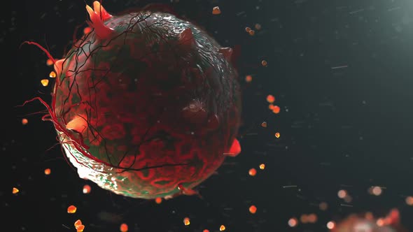 Cells Are Organics 3d Visualization Body Cell Concept 4