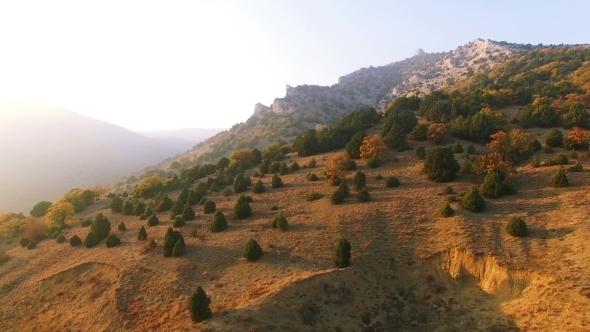 Flying Above Autumn Forest With Mountain River