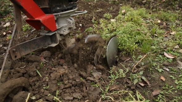 Tillage Cultivator