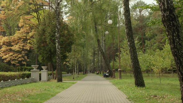 Pathway in the Park