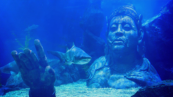 Shark Swims Near Submerged Ancient Statue Of Man