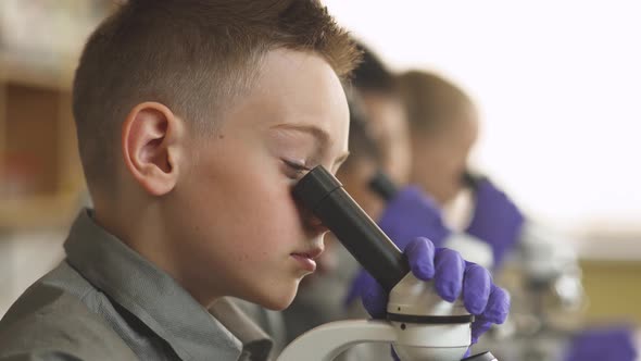 Lesson in a Modern School, Boy Look at Microscopes in a Chemistry Lesson, the Process of Teaching