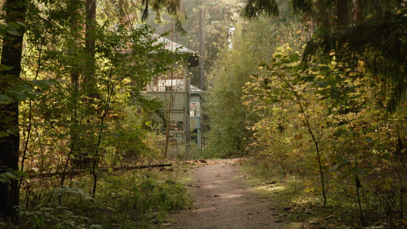 Abandoned House in the Forest