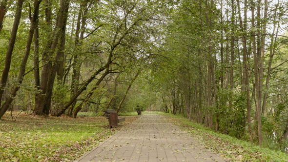 Tiles Pathway in the Park