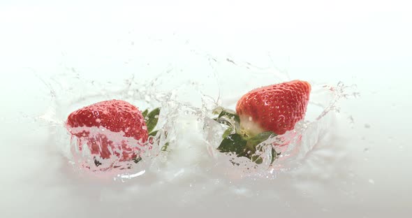 900022 Strawberries, fragaria vesca, Falling on Water, Slow Motion 4K