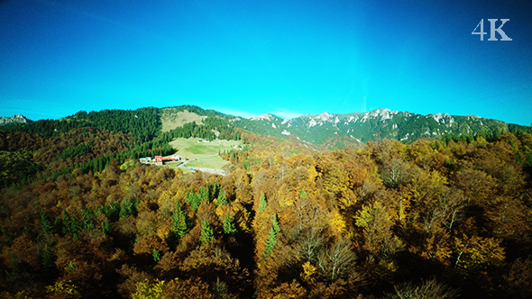 Flying Over the Forest in the Mountains in Autumn