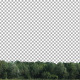 Real Trees Isolated 2 (strong wind) - VideoHive Item for Sale