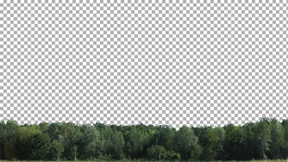 Real Trees Isolated 1 (Medium Wind)