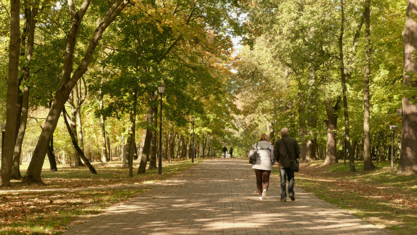 Adult Couple in the Autumn Park