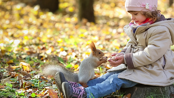 Child Feeds A Little Squirrel
