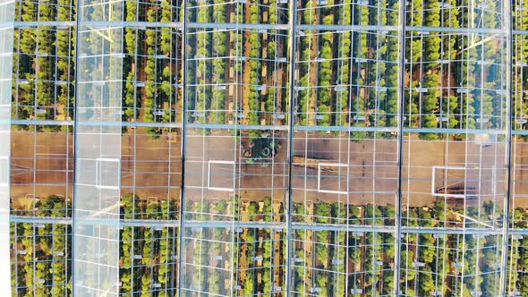 Top View of a Transparent Roof of a Greenhouse