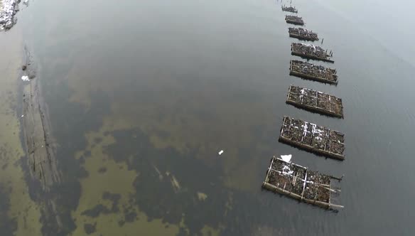 Flying Over Ruins of Bridge in the Sea