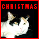 Christmas Jingle Bells