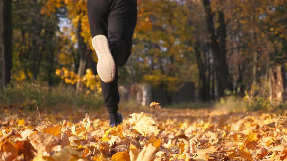 Unrecognizable Sportsman Running in Autumn Park Stepping on Dry Maple Leaves