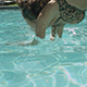 Woman Jumping Into Swimming Pool - VideoHive Item for Sale