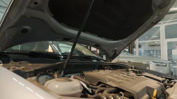 Car mechanic opening hood and inspecting engine. Mechanic man repairing car