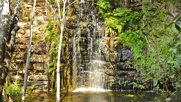 Africa Jungle Waterfall