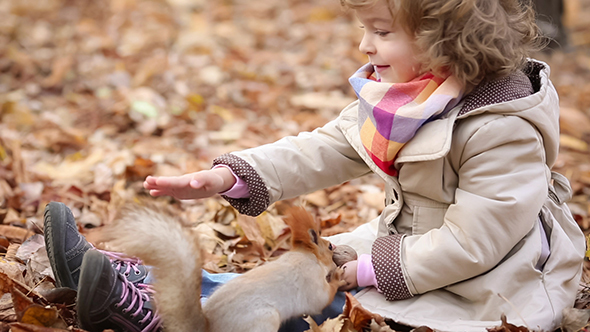 Child Feeds A Little Squirrel