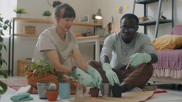 Multiethnic Couple Repotting Plants at Home