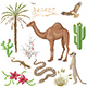 Desert Plants and Animals Set - GraphicRiver Item for Sale