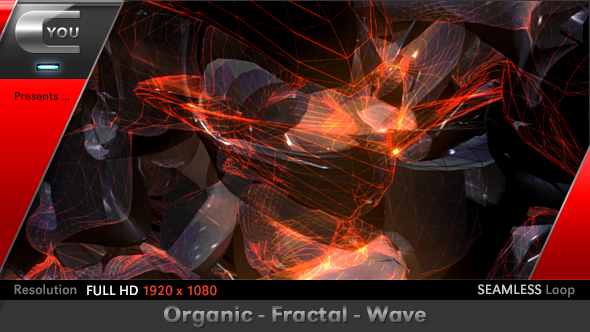Organic Fractal Wave