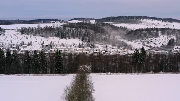 Winter landscape, pullback back flight over a row of bare trees with the panoramic view over a city