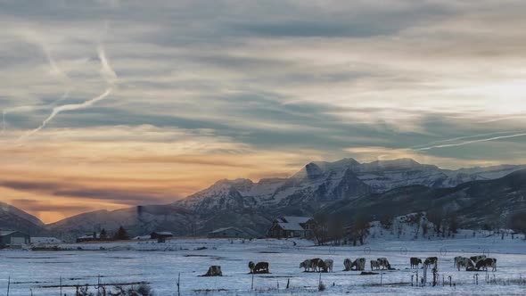 Zooming to reveal a beautiful, winter, mountain range with cows grazing and an animated, time lapse