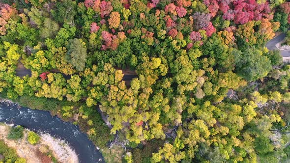 Aerial view looking down at river and colorful forest in Autumn