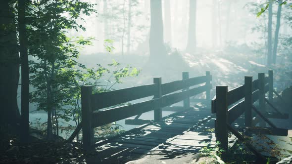 Wooden Bridge Into Forest with River