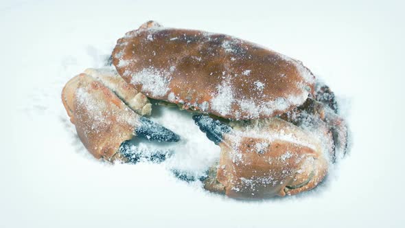 Crab Seafood Packed In Ice