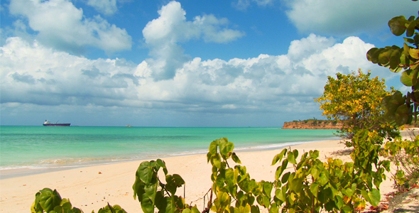 Beach (shrubs 1)