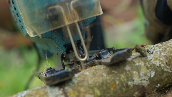 Chainsawing Small Log