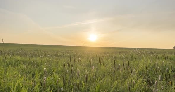 Hill Meadow Timelapse at the Summer or Autumn Time. Wild Endless Nature and Rural Field. Sun Rays