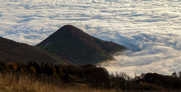 Fog Waves