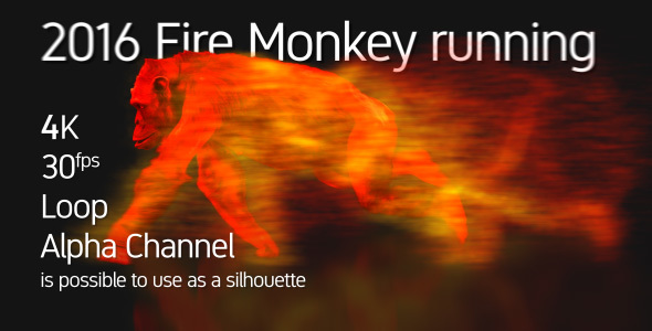 2016 Fire Monkey Running