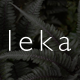 Leka - Amazing WooCommerce Theme - ThemeForest Item for Sale