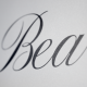 Beauty - Animated Handwriting Typeface - VideoHive Item for Sale