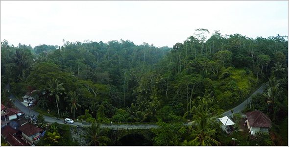 Dramatic Jungle Aerial 4