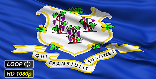 Waving Flag Of The State Of Connecticut