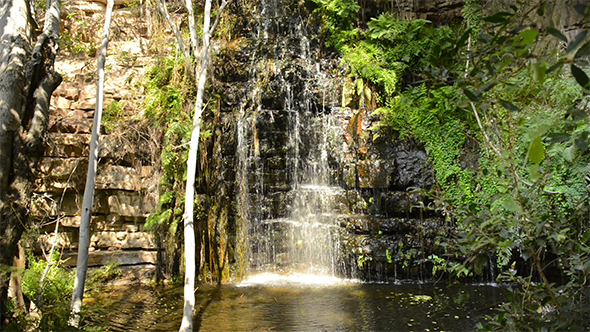 Africa Jungle Waterfall