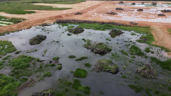 Muddy land after oil palm clearing 