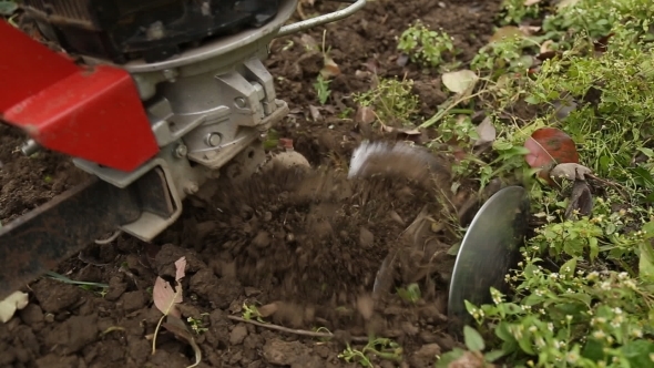 Tillage Cultivator Closeup