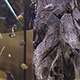 Aquarium - VideoHive Item for Sale