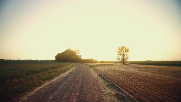 Dirt road at sunrise. The camera moves along a country road between fields. Rural landscape