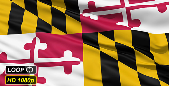 Waving Flag Of The US State of Maryland