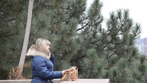 Woman Talking on the Phone 