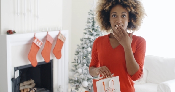 Astonished Young Woman Holding a Christmas Gift